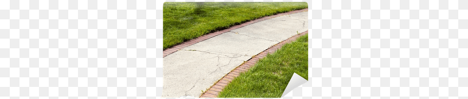 Sidewalk, Grass, Path, Plant, Walkway Free Transparent Png