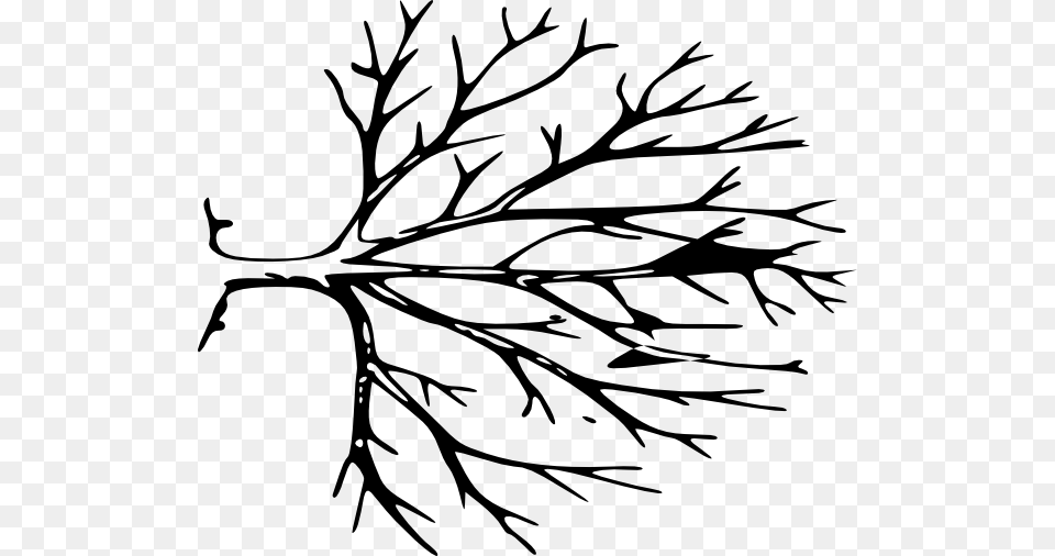 Sideways Tree Clip Art, Leaf, Plant, Animal, Fish Png