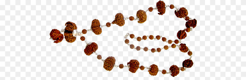 Sidha Mala Rudraksha Collection Meaning, Accessories, Bead, Bead Necklace, Jewelry Png