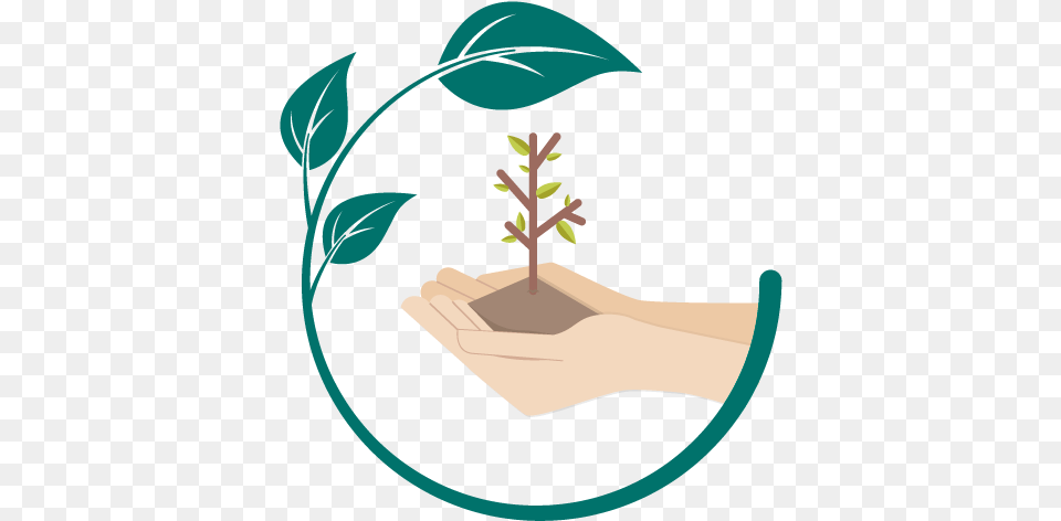 Siembra Un Rbol Planta Un Arbol, Herbal, Herbs, Leaf, Person Free Png