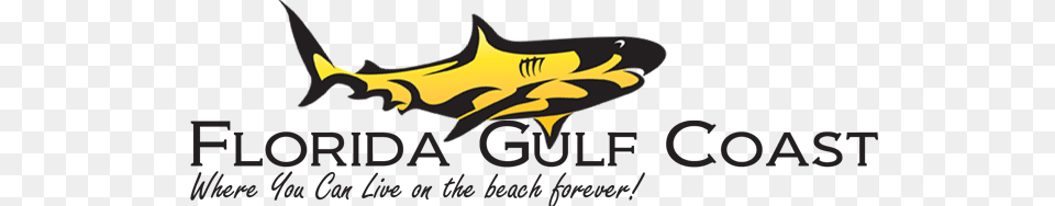 Siesta Key Florida, Logo, Symbol, Batman Logo, Leaf Free Png