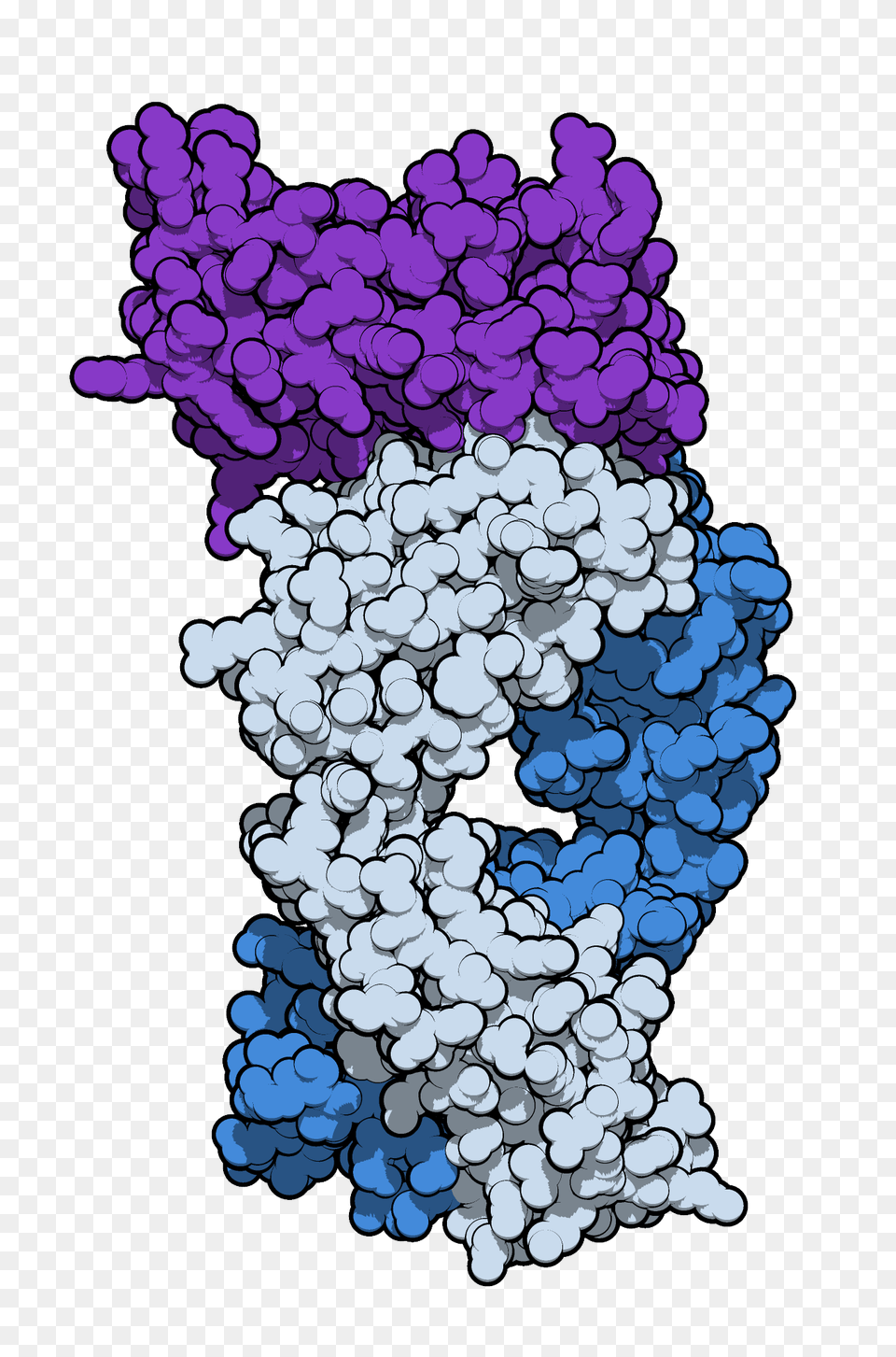 Sifalimumab, Flower, Plant Free Transparent Png