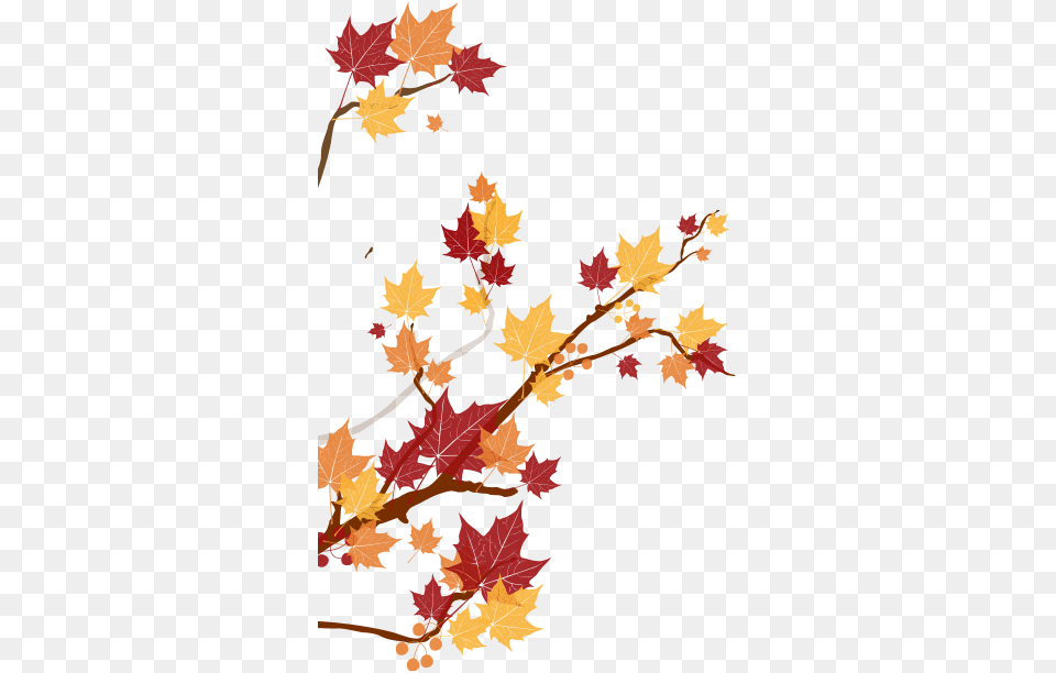 Sight Smell Sound Touch And Taste Japan Autumn Leaf, Tree, Plant, Maple, Wedding Png Image