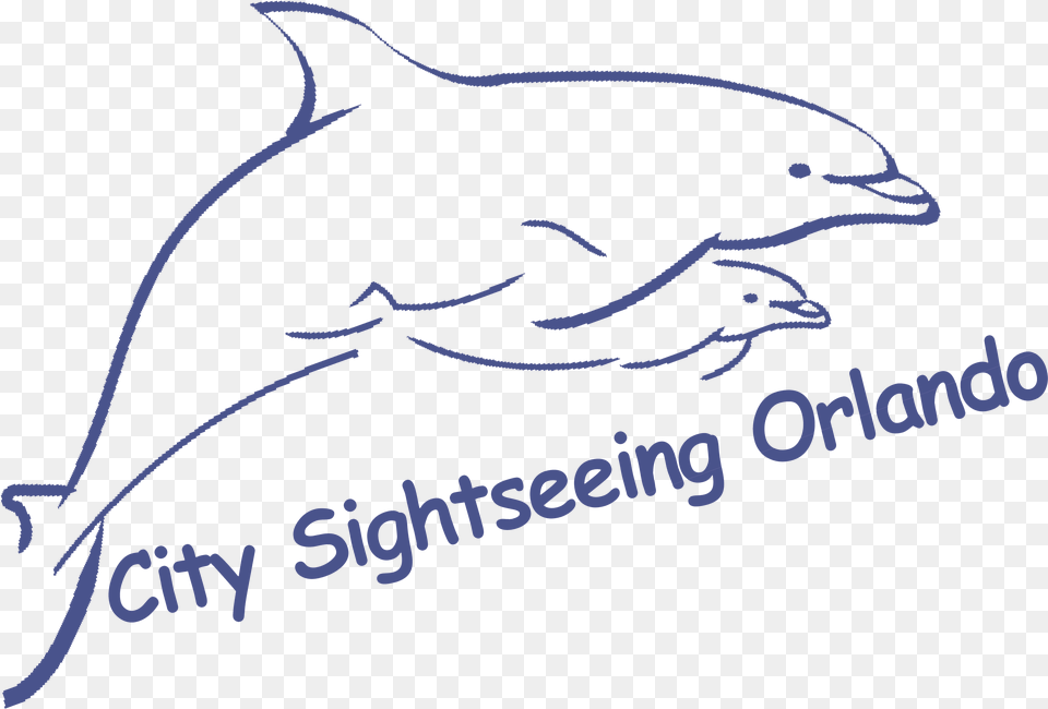 Sight Words, Animal, Dolphin, Mammal, Sea Life Free Png Download
