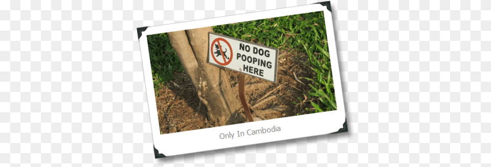 Sign, Tree, Soil, Plant, Symbol Png