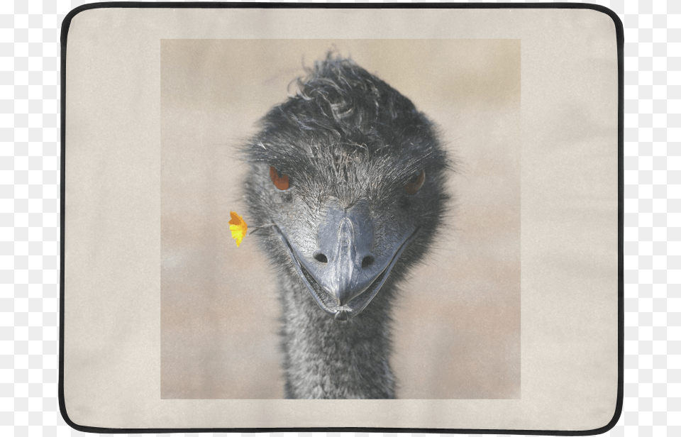 Sign Beach Mat 78 X 60 Emu, Animal, Beak, Bird, Mammal Png Image
