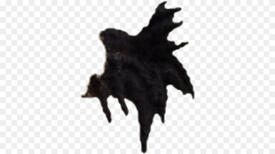 Sign In To Save It To Your Collection Pelo De Xxx Tentacion, Leaf, Plant, Silhouette, Animal Free Png