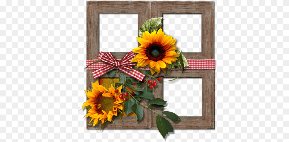Sign In To Save It To Your Collection Picture Frame, Flower, Flower Arrangement, Flower Bouquet, Plant Free Png