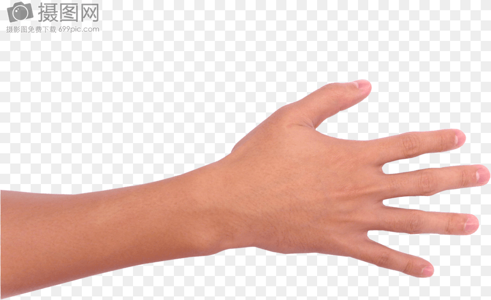 Sign Language, Body Part, Finger, Hand, Person Png