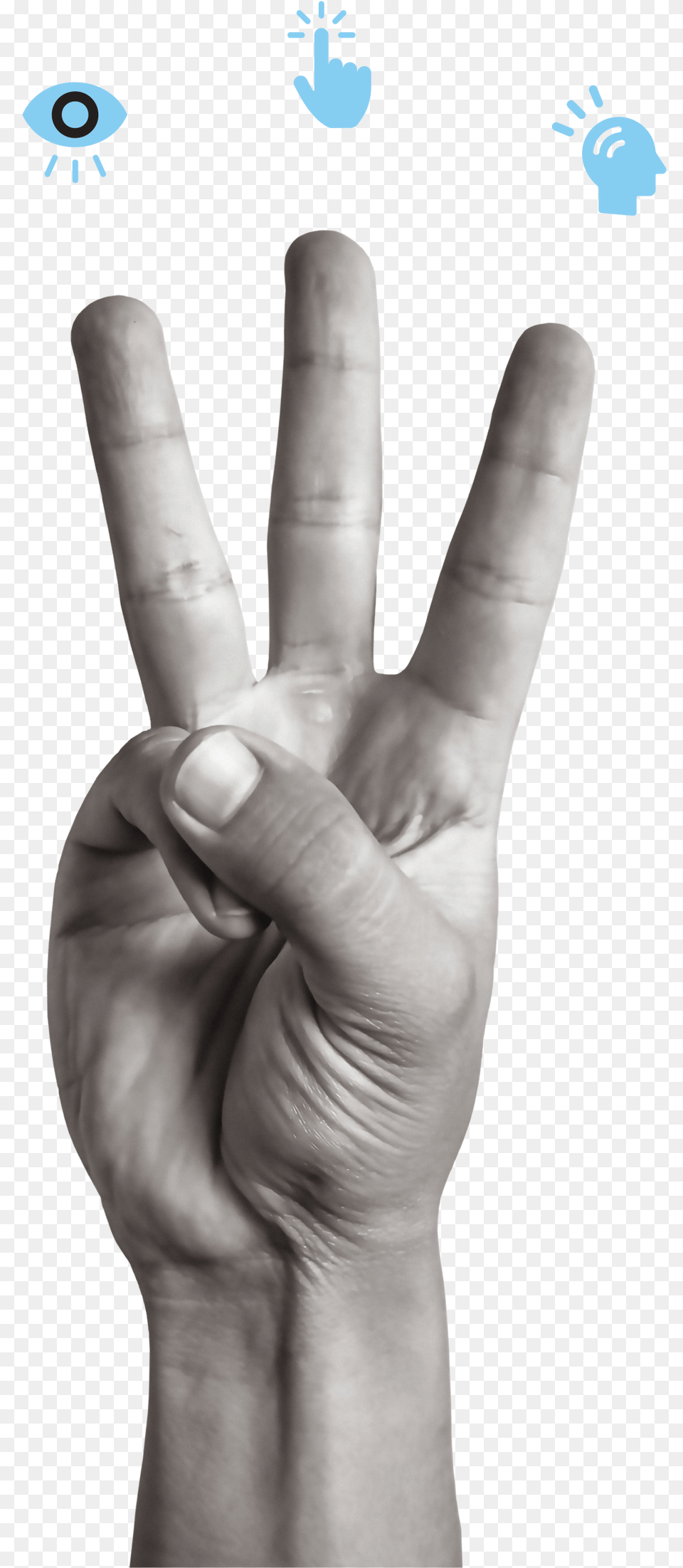 Sign Language, Body Part, Finger, Hand, Person Png