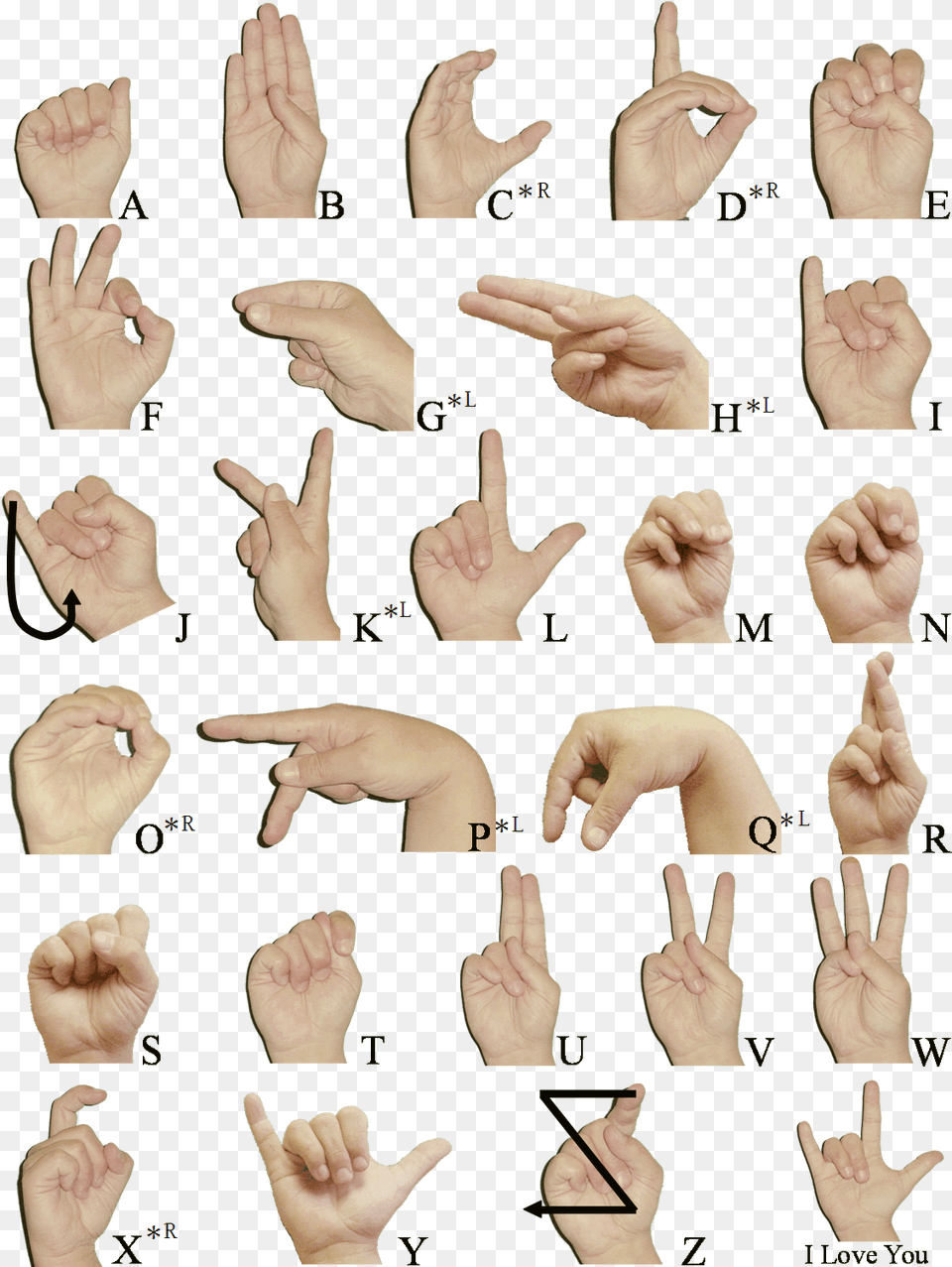 Sign Language And Static Gesture Recognition Using Say I M Gay In Sign Language, Body Part, Finger, Hand, Person Free Png Download