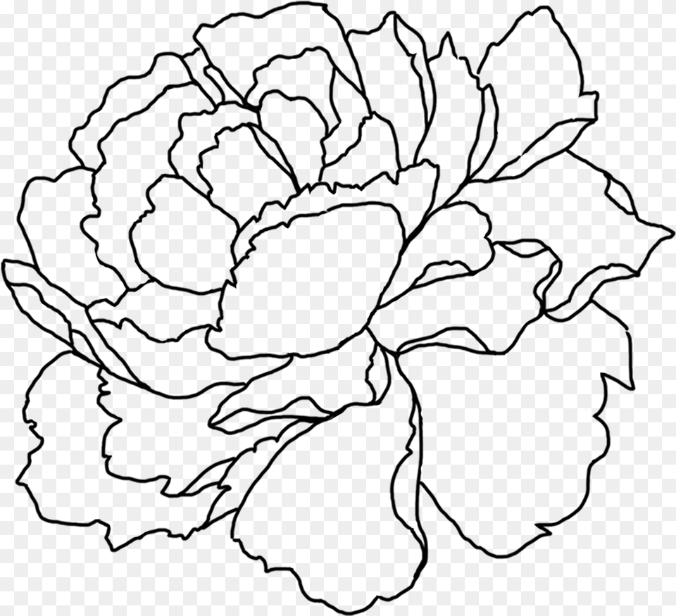 Sign Up To Join The Conversation Flower Line Art Peony, Nature, Night, Outdoors, Silhouette Free Png Download