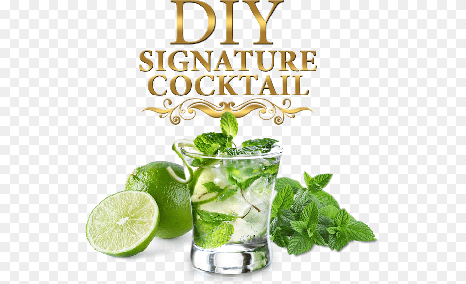 Signature Cocktails Lime Signature Drink, Alcohol, Plant, Mojito, Mint Free Png