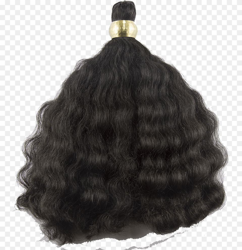 Signature Curly 225s Lace Wig, Adult, Female, Person, Woman Png