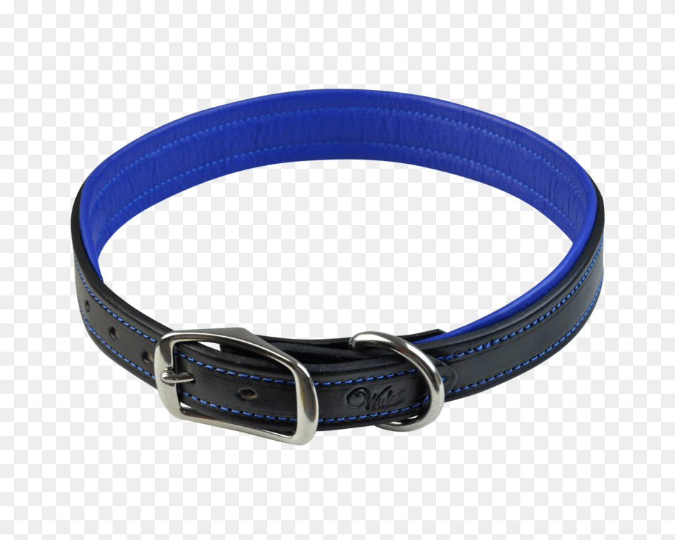 Signature Dog Collar, Accessories, Belt Free Png