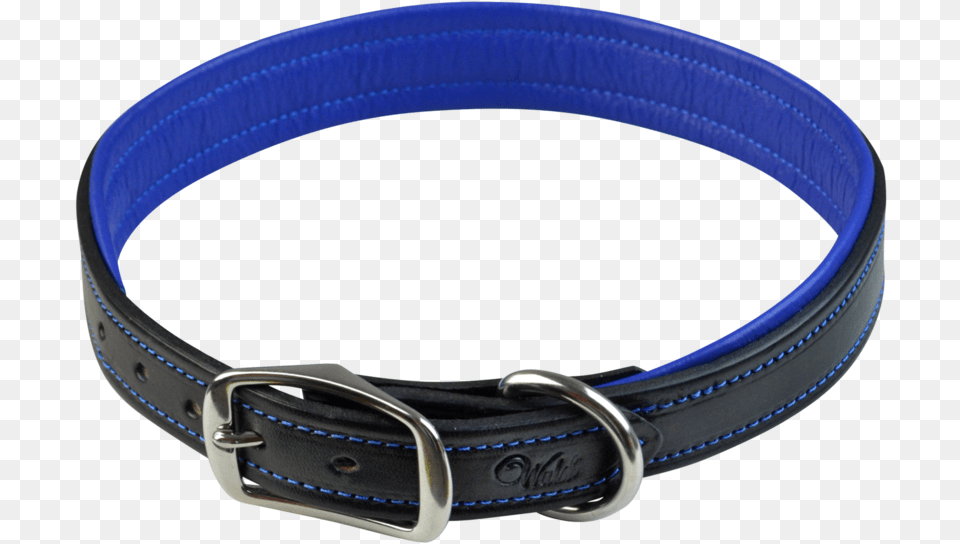 Signature Dog Collar, Accessories, Belt Free Png Download