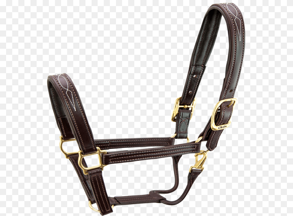Signature Halter Horse S5000 Horse Halter, Accessories, Harness, Bag, Belt Free Png Download