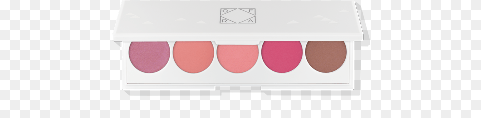 Signature Palette Lipstick Variety, Paint Container, Face, Head, Person Free Transparent Png