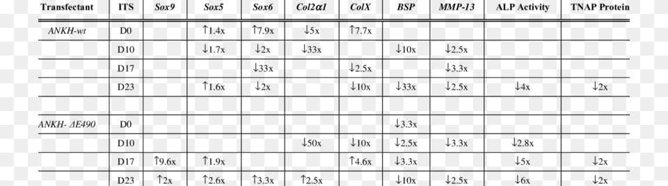 Significant Changes In Markers Expressed In Various Escala De Eva Pdf, Gray Png