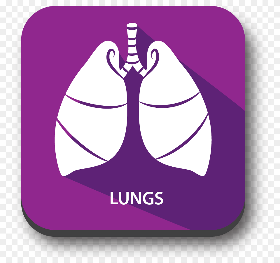 Signs Of Blood Clot In Lungs, Purple, Clothing, Hardhat, Helmet Free Png Download