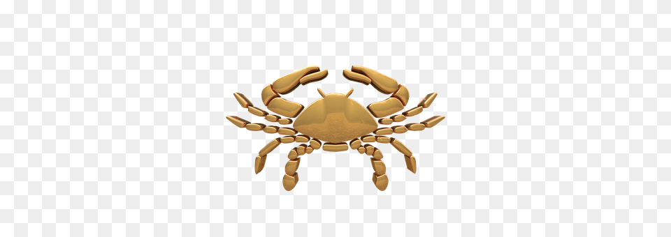 Signs Of The Zodiac Food, Seafood, Animal, Crab Png