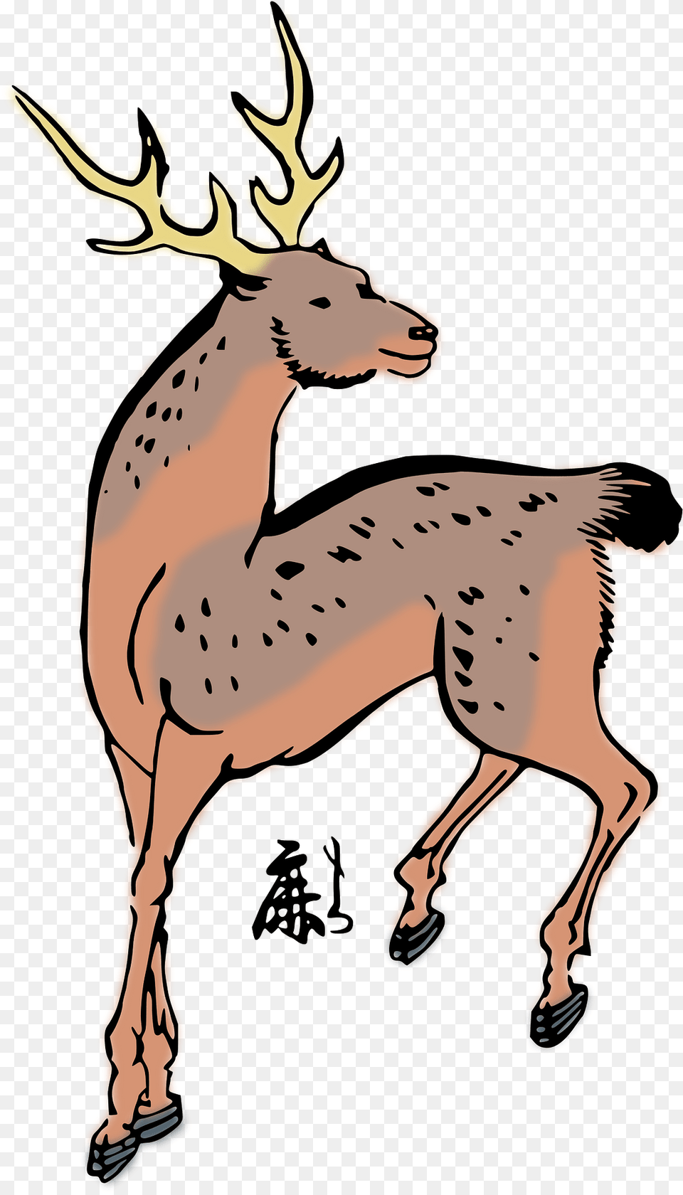 Sika Deer Clipart, Animal, Mammal, Wildlife, Elk Png
