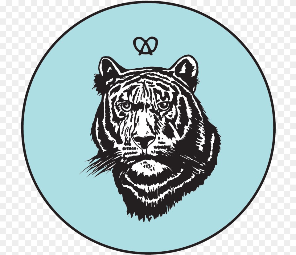 Siko Tiger, Animal, Mammal, Wildlife Free Png