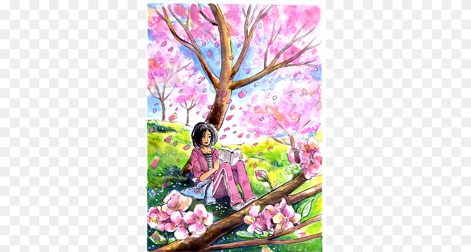 Sildenafil Generico Pfizer Cherry Blossom, Art, Painting, Plant, Flower Free Png