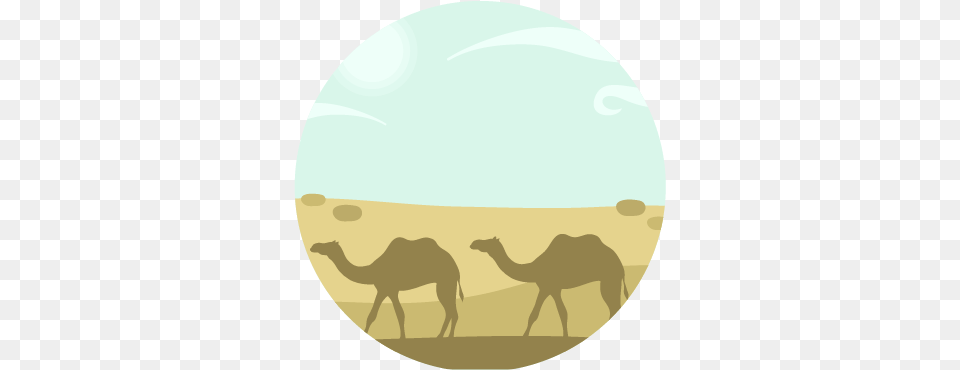 Silhouette, Animal, Camel, Mammal Free Png Download
