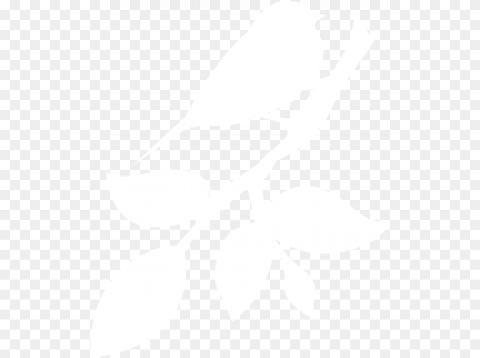 Silhouette, Leaf, Plant, Stencil, Adult Png