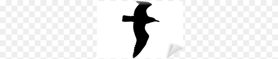 Silhouette, Animal, Bird, Flying, Cross Png Image