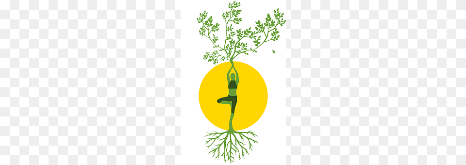 Silhouette Plant, Herbal, Herbs Png Image