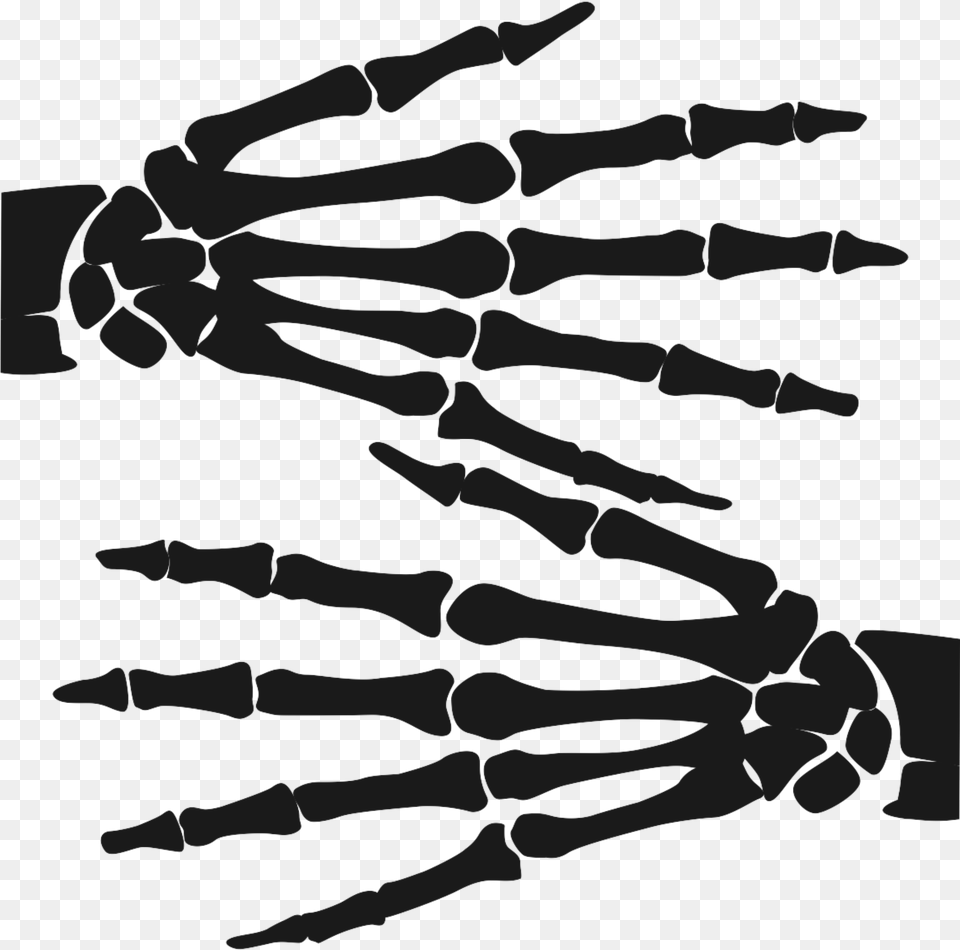 Silhouette, X-ray Free Png