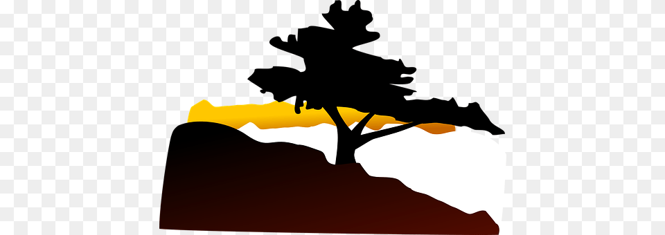 Silhouette Plant, Tree, Outdoors, Baby Free Png