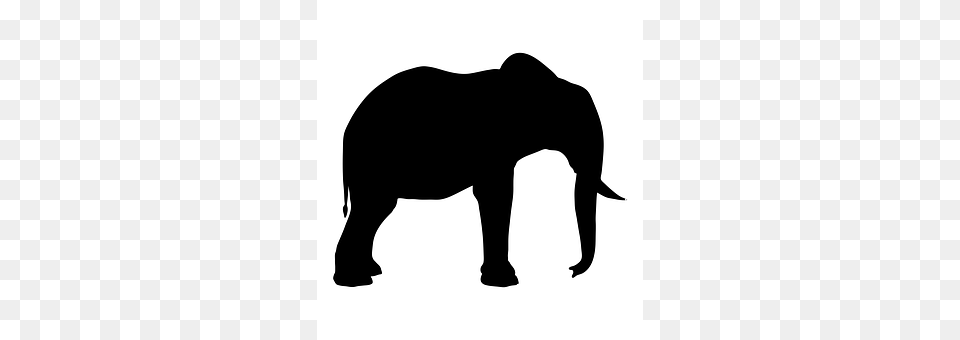Silhouette Animal, Elephant, Mammal, Wildlife Free Png Download