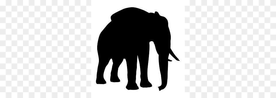 Silhouette Animal, Bear, Elephant, Mammal Png