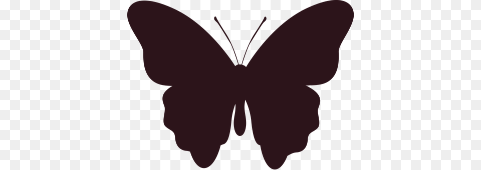 Silhouette Animal, Butterfly, Insect, Invertebrate Png Image