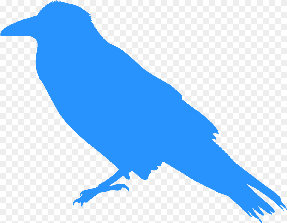 Silhouette, Person, Animal, Bird Free Transparent Png