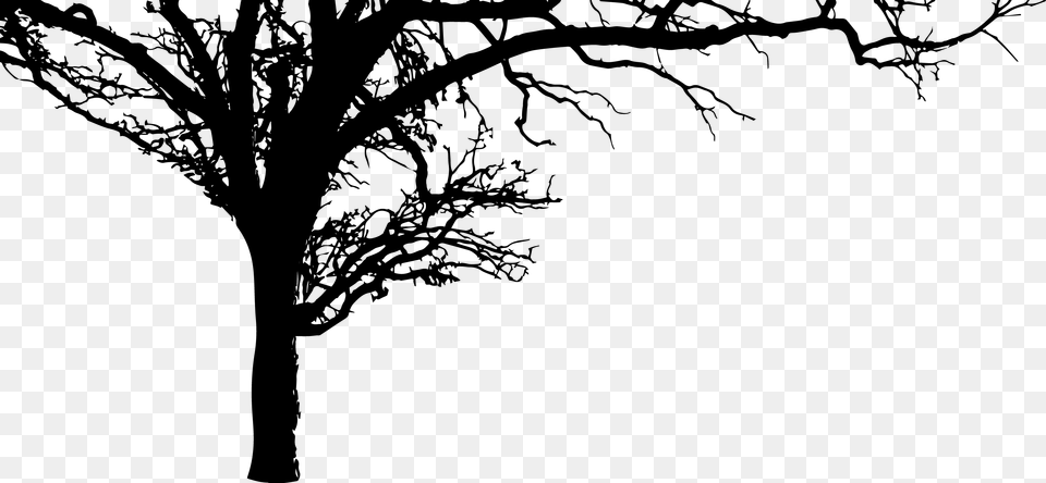 Silhouette, Plant, Tree, Tree Trunk, Oak Free Png Download