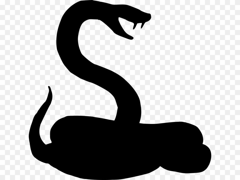 Silhouette 960 720 Snake Silhouette, Gray Free Png Download