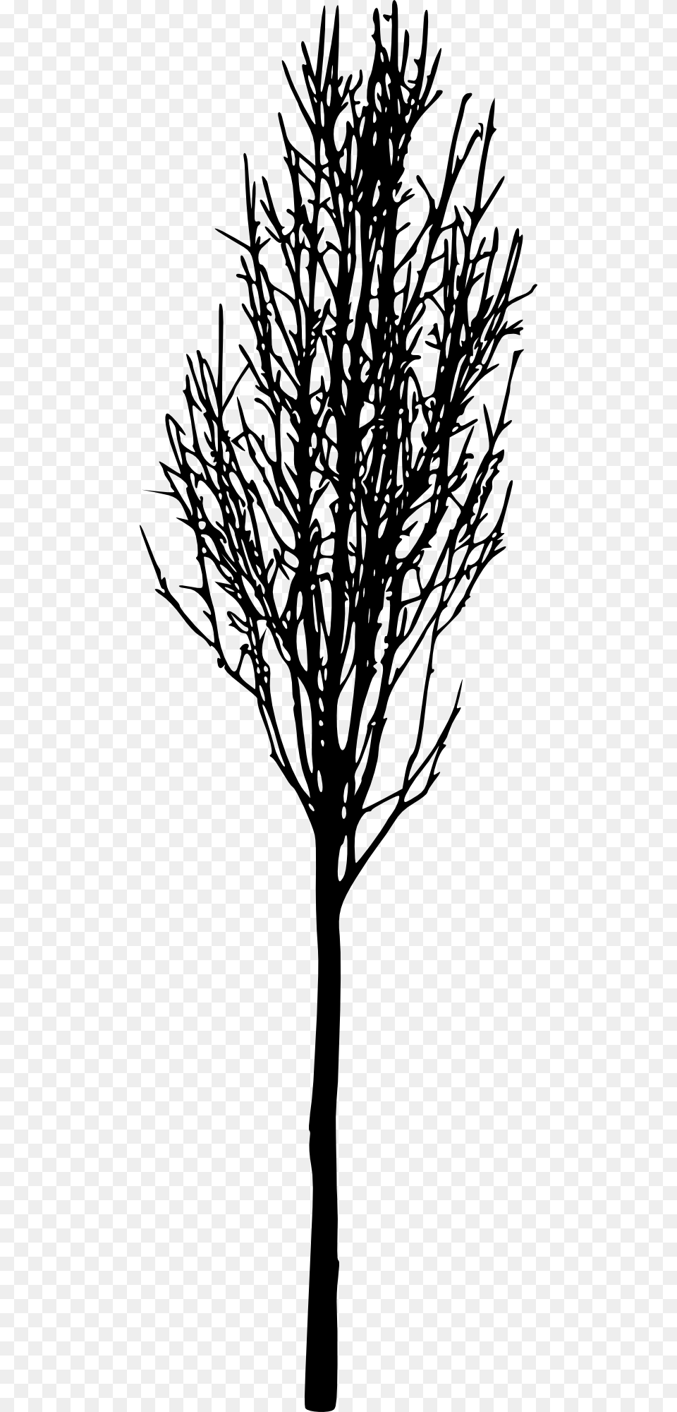 Silhouette, Plant, Tree, Art, Drawing Free Png