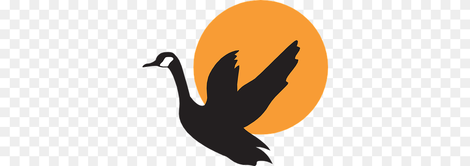 Silhouette Animal, Bird, Goose, Waterfowl Free Transparent Png