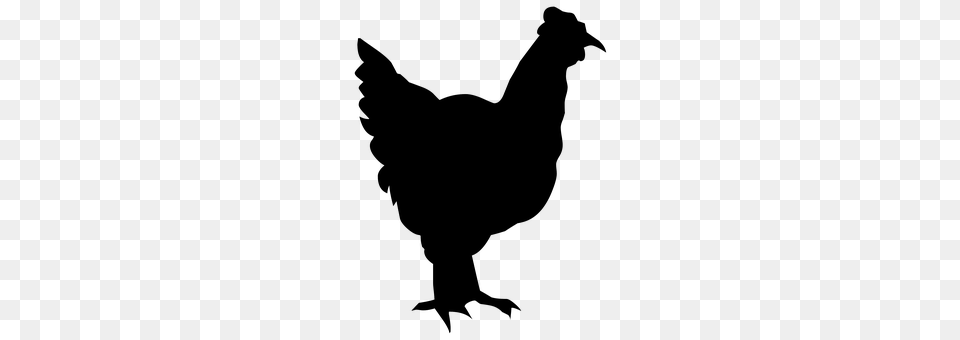 Silhouette Animal, Bird, Chicken, Fowl Free Transparent Png