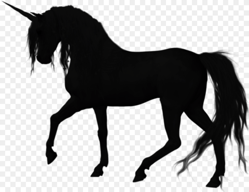 Silhouette American Quarter Horse Stallion Vector Graphics Quarter Horse Images Silhouette, Black Free Transparent Png