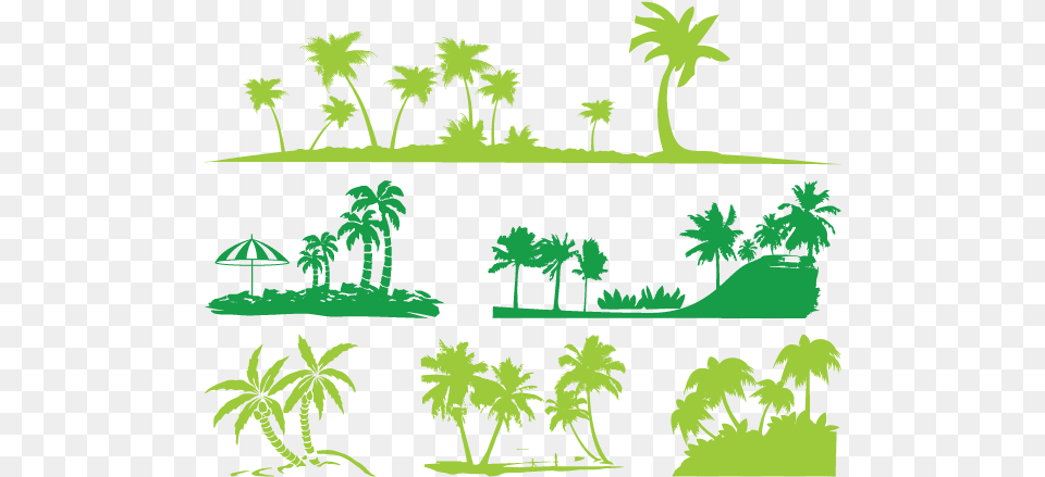 Silhouette Arecaceae Illustration Vector, Green, Vegetation, Tropical, Tree Free Png