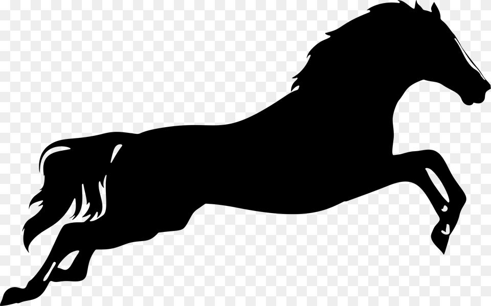 Silhouette At Getdrawings Com Horse Silhouette Clip Art, Gray Free Transparent Png