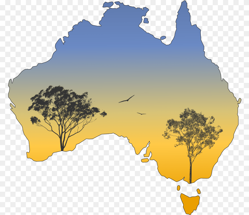 Silhouette Australia Gum Trees Population Of Cats In Australia, Outdoors, Tree, Plant, Nature Free Png