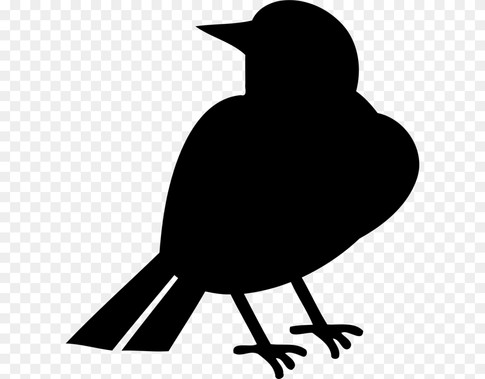Silhouette Beak Bird Black, Gray Free Transparent Png