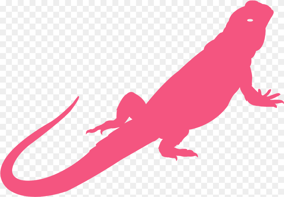 Silhouette Bearded Dragon Outline, Animal, Gecko, Lizard, Reptile Png Image