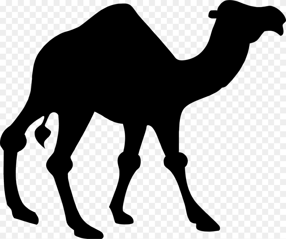 Silhouette Big Image Clipart Camel, Gray Png